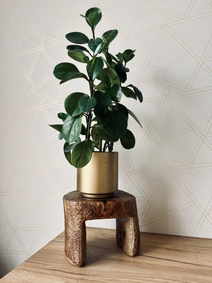 Dizajnový stolík MONOLITH z orechového masívu