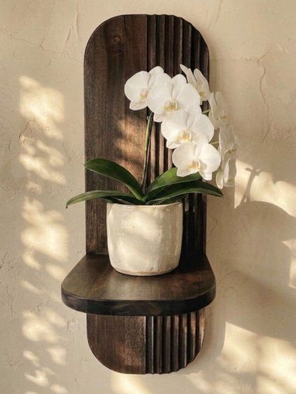 imresizer IMG 1194 SnapseedCopy