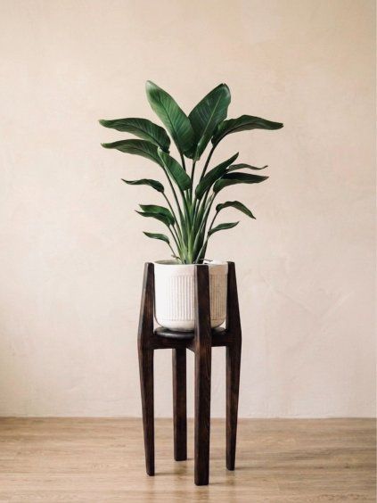 WoodenBotanery VERTIGO MAX 360° – Rotating Wooden Plant Stand (68 cm) Color: Dark walnut, Size: up to 28 cm