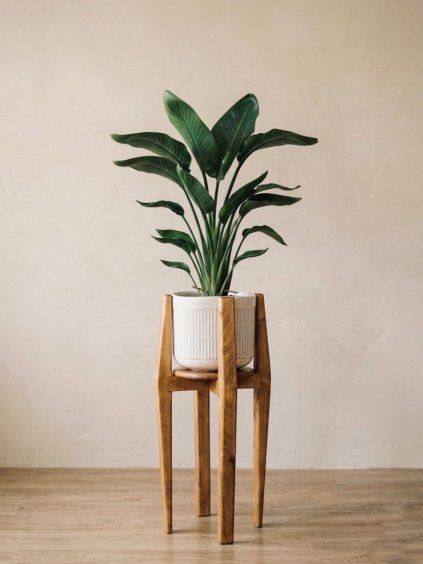 imresizer IMG 1228 SnapseedCopy