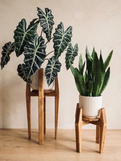 imresizer IMG 1231 SnapseedCopy