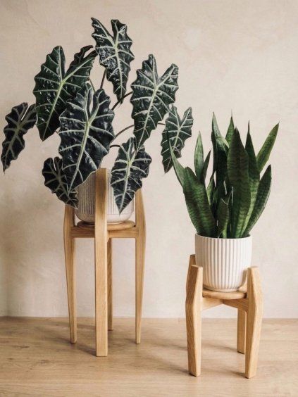 WoodenBotanery VERTIGO DUO 360° – Plant stand set (68 cm) Color: Light oak, Size: up to 28 cm
