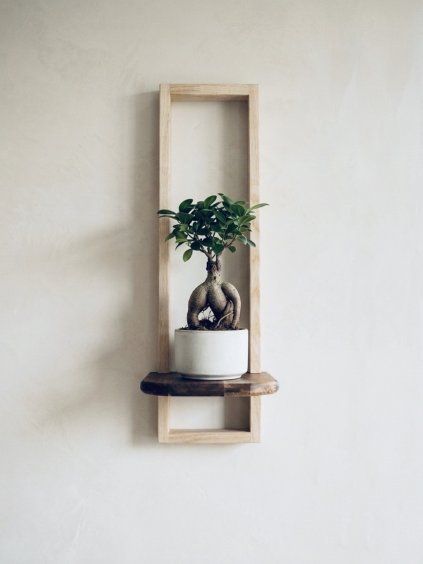 Designer plant shelf - ESSENTIA