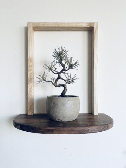 Designer plant shelf - ESSENTIA II