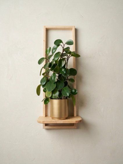 Designer plant shelf - ESSENTIA MAX