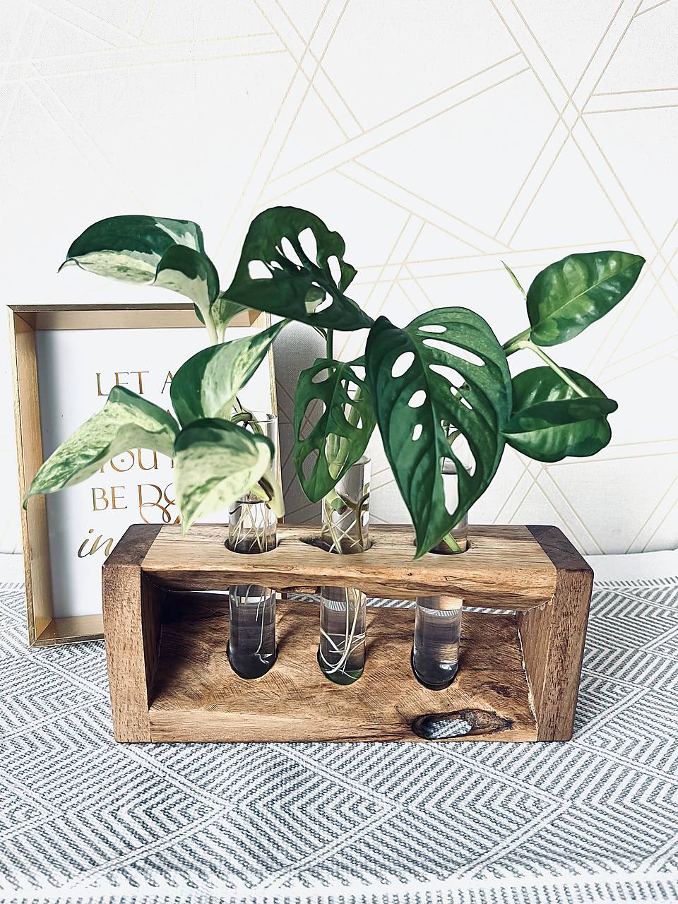 BotaneryLab Propagačná stanica na odrezky rastlín TRINITY Orech - 3 skúmavky WoodenBotanery