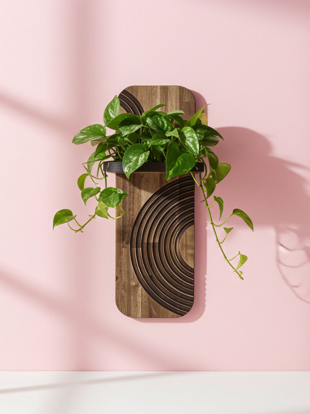 WoodenBotanery Nástenný stojan na kvety WB196 drevo akácia hnedý