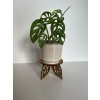 Pedestal 4 LEAVES: Design Stand (Leaf Motif)
