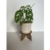 Pedestal 4 LEAVES: Design Stand (Leaf Motif)
