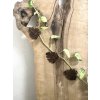 Wall Clips MONSTERA MAXI: Walnut Wood
