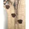 Wall Clips MONSTERA MAXI: Walnut Wood
