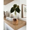 BotaneryLab™ ELEMENT: Beechwood Propagation Stand (Single)