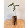 BotaneryLab™ ELEMENT: Oakwood Propagation Stand (Single)