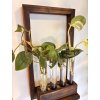 BotaneryLab™ WALL STATION: Propagation Frame System (Greenstation)