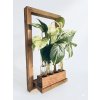 BotaneryLab™ ALCHEMY: Design Wooden Wall Stand