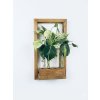 BotaneryLab™ ALCHEMY: Design Wooden Wall Stand
