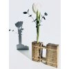 BotaneryLab™ NEXUS: Design Walnut Arrangement Stand