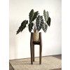 Rotating Plant Stand VERTIGO 360° MAX  Solid Spruce