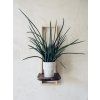 Designer plant shelf - ESSENTIA