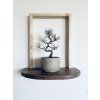 Designer plant shelf - ESSENTIA II