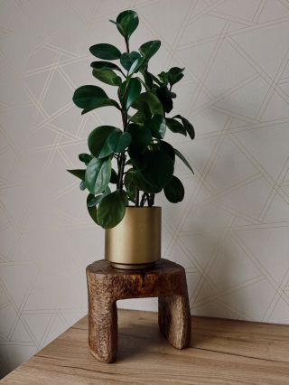 Predstavujeme vám tento unikátny interiérový solitér, ktorý vznikol z masívneho pňa orechového dreva. Nie je to len...