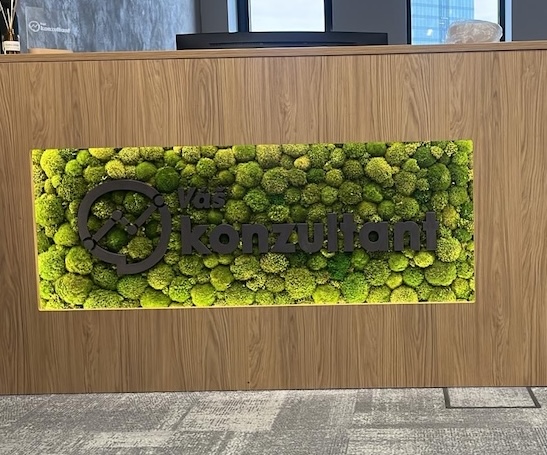 Výroba 3D loga pro Váš konzultant