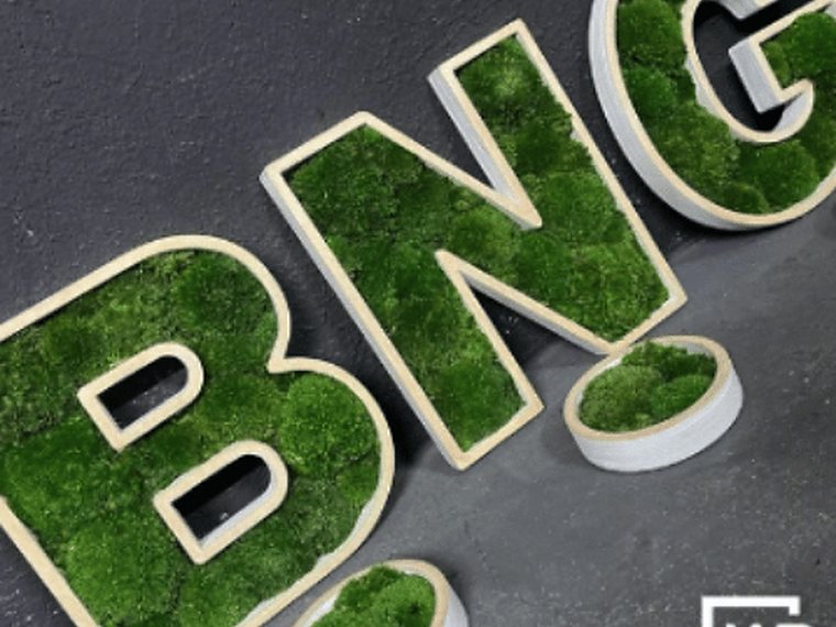 Firemní mechové logo pro BNG Group, a. s.