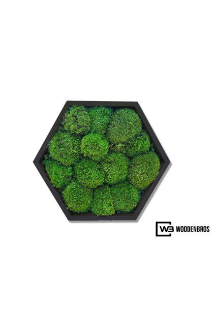 Mechový obraz hexagon s 3D logem v dřevěném rámu