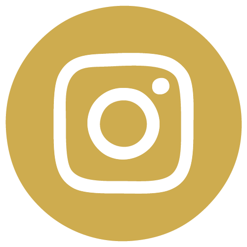 insta-logo-01