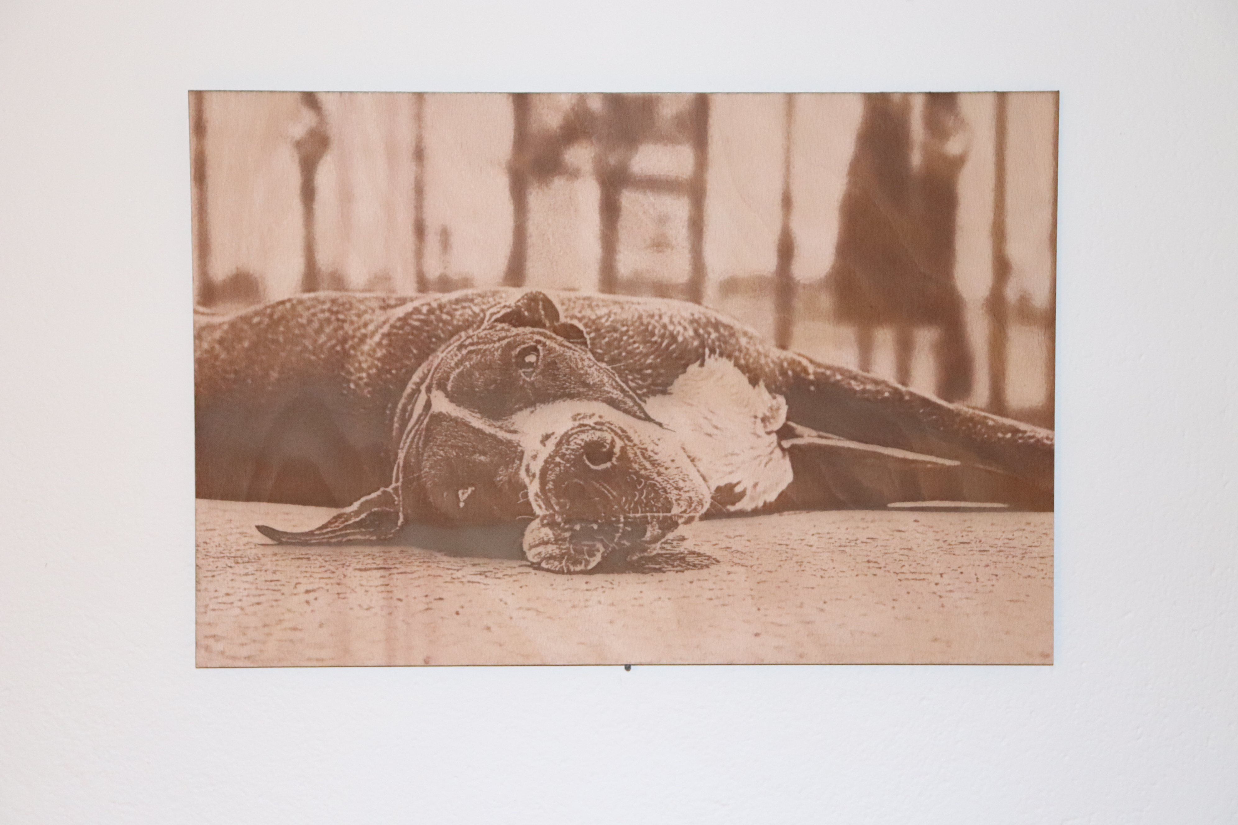 Jak funguje gravírování do dřeva?