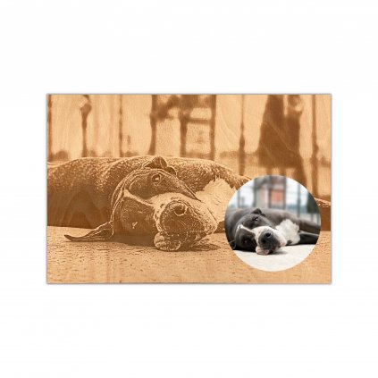 velká fotografie na zeď