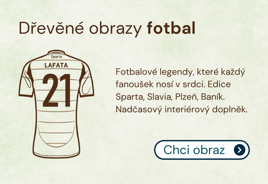 Fotbal