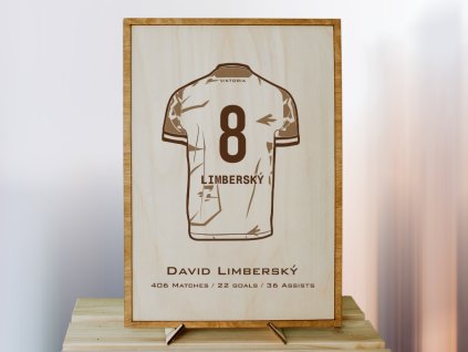 David Limberský PLZEŇ