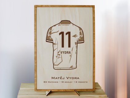 Matěj Vydra PLZEŇ
