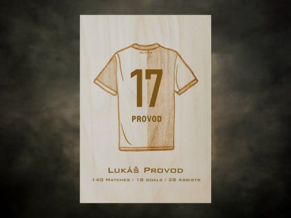 Lukáš Provod SLAVIA (A4)