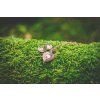 187 6 drevene sperky set heart rose gold