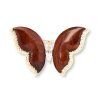 Holzbrosche Schmetterling golden