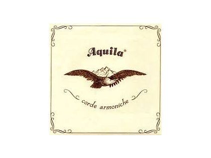 aquila