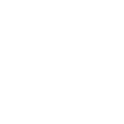 WOODICON.CZ