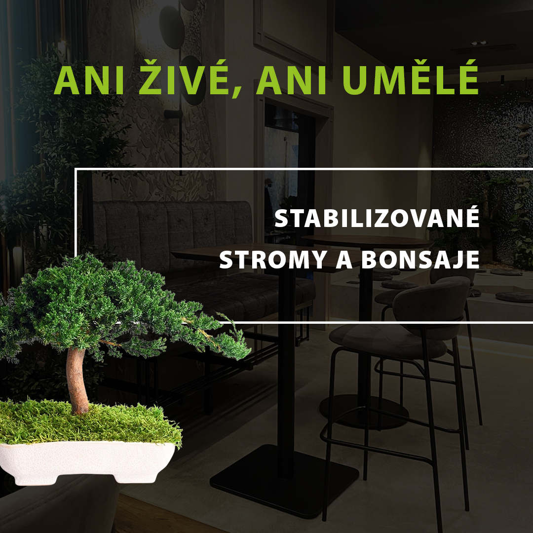 Bezúdržbová zeleň do hotelů, kanceláří i domácností: 🌱 Krása stabilizovaných stromů a bonsají