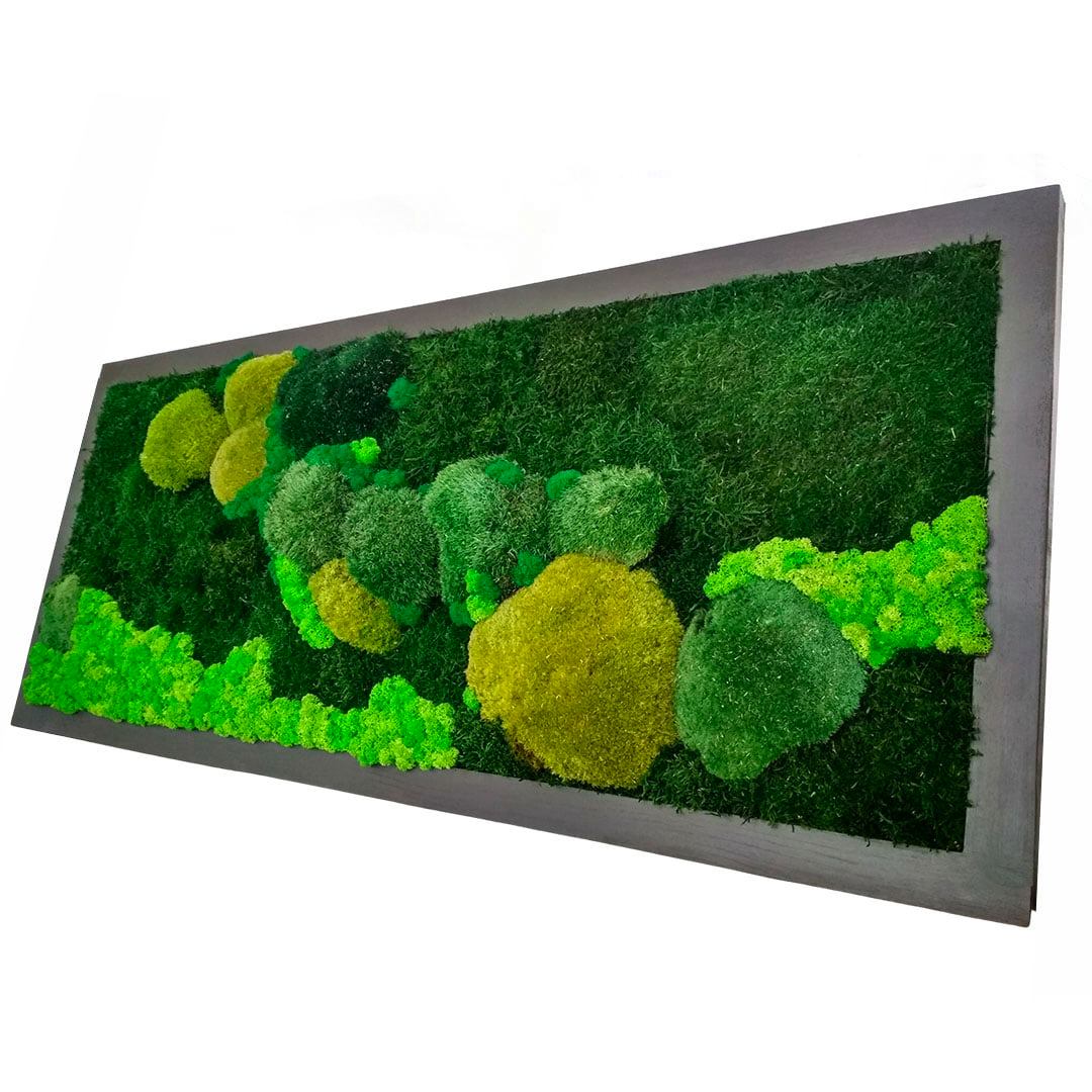 Jak pečovat o mechový obraz či dekoraci? Drží se na nich prach?