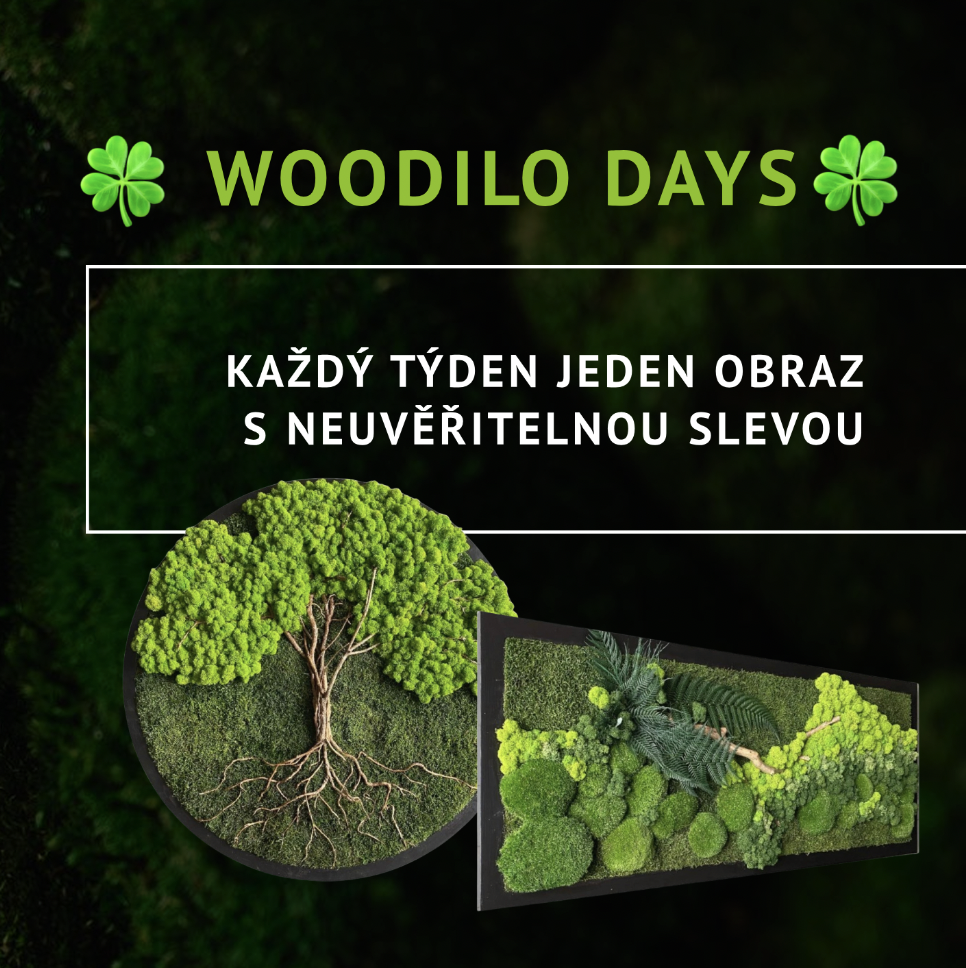 🍀 WOODILO DAYS 🍀: Každý týden jeden obraz s neuvěřitelnou slevou!