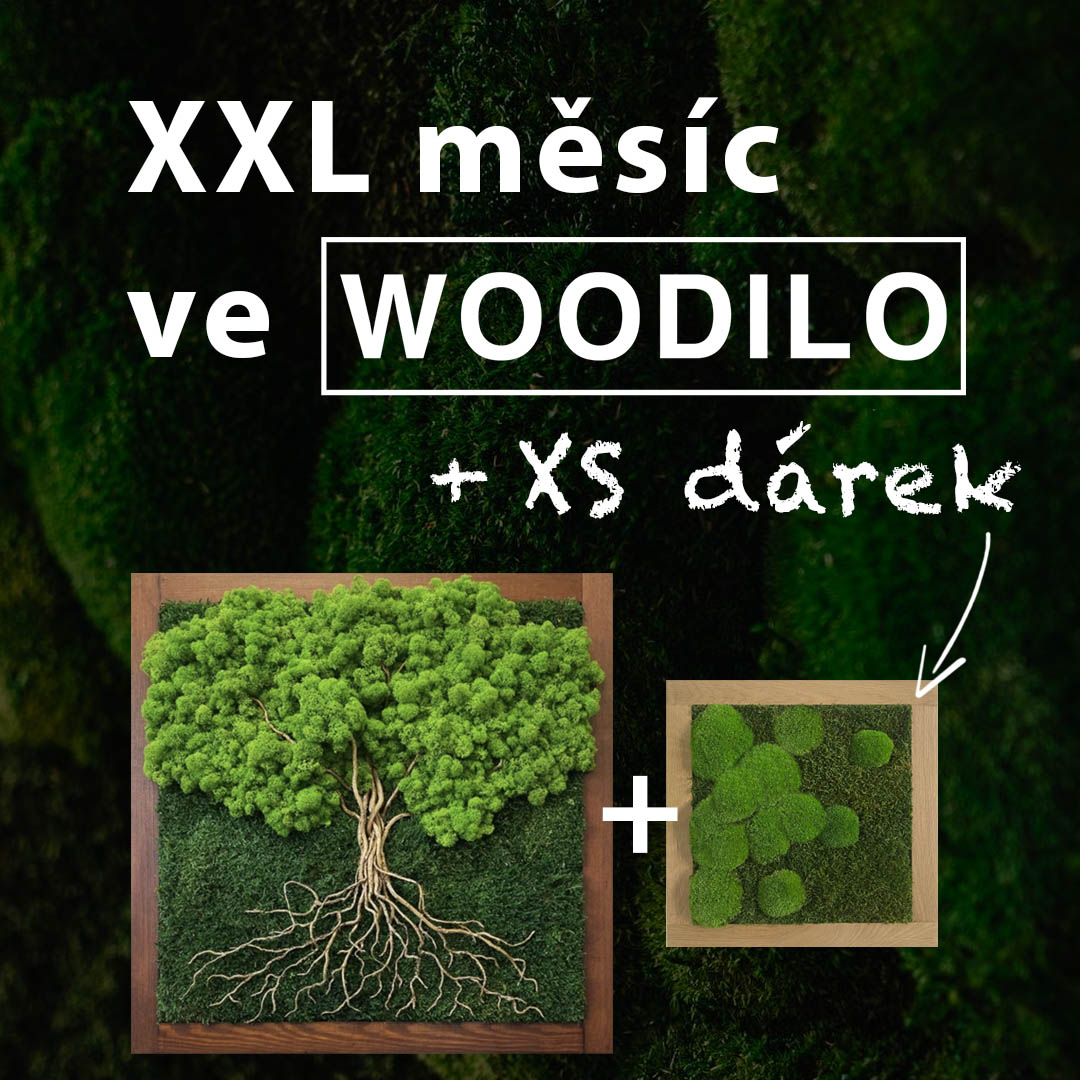 💚 XXL měsíc ve WOODILO 🌿: Ke každému XXL nákupu jeden XS obraz jako dárek