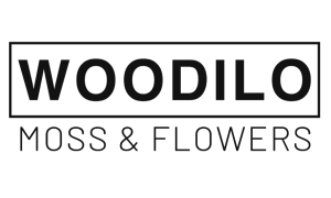                                     Zuzana Štěpánková
                            