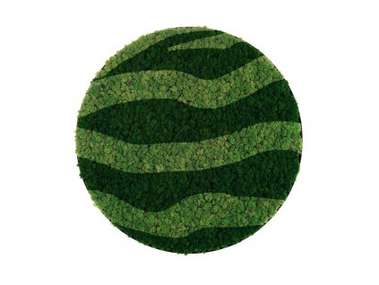 Kulatý mechový obraz kombinace zeleného sobího mechu