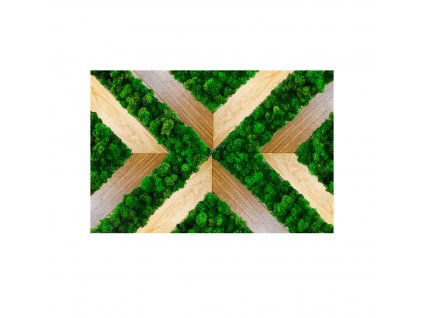 Mechový obraz REPUBLIKA kombinace sobího mechu a dřeva
