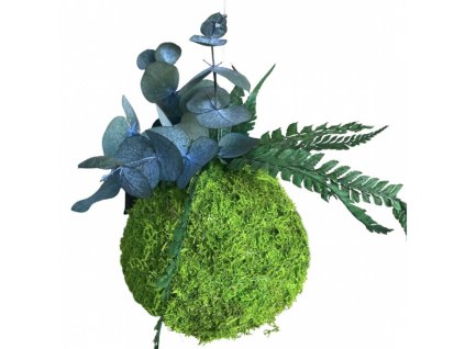 kokedama svě