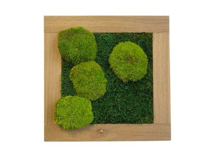 image removebg preview 2025 01 27T083458.723