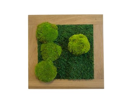 image removebg preview 2025 01 27T084008.827