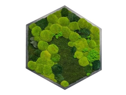 Hexa eshop 26